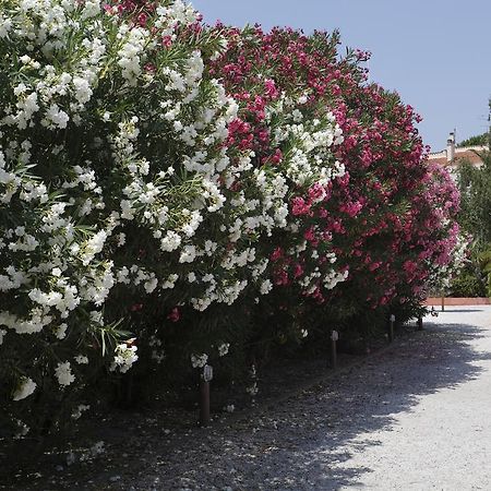 Vacanceole - Residence Las Motas Alénya Buitenkant foto
