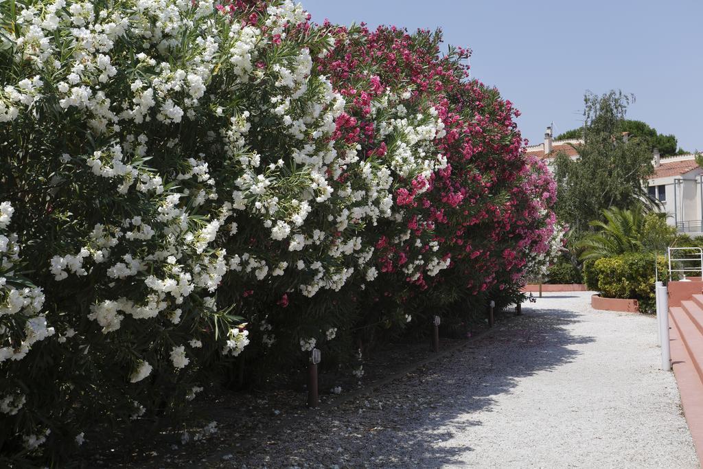 Vacanceole - Residence Las Motas Alénya Buitenkant foto